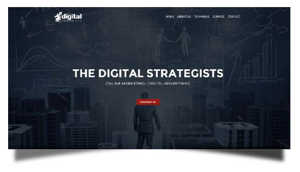 digital strategists